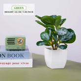Artificial bonsai tree in ceramic pot for home or office desk decor