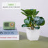 Artificial bonsai tree in ceramic pot for home or office desk decor
