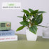 Artificial bonsai tree in ceramic pot for home or office desk decor
