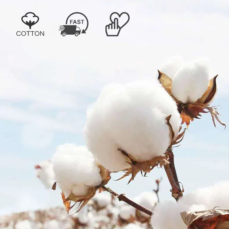 Korean fashion cotton socks for autumn and winter