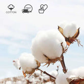 Korean fashion cotton socks for autumn and winter