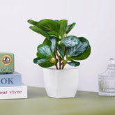 Artificial bonsai tree in ceramic pot for home or office desk decor